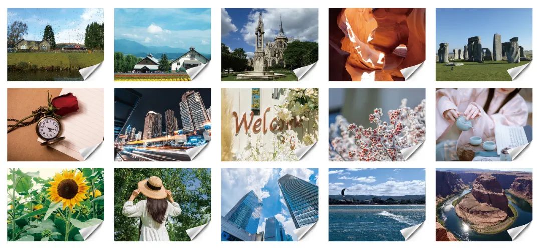 1673492497764287.jpg 1673492497764287.jpg