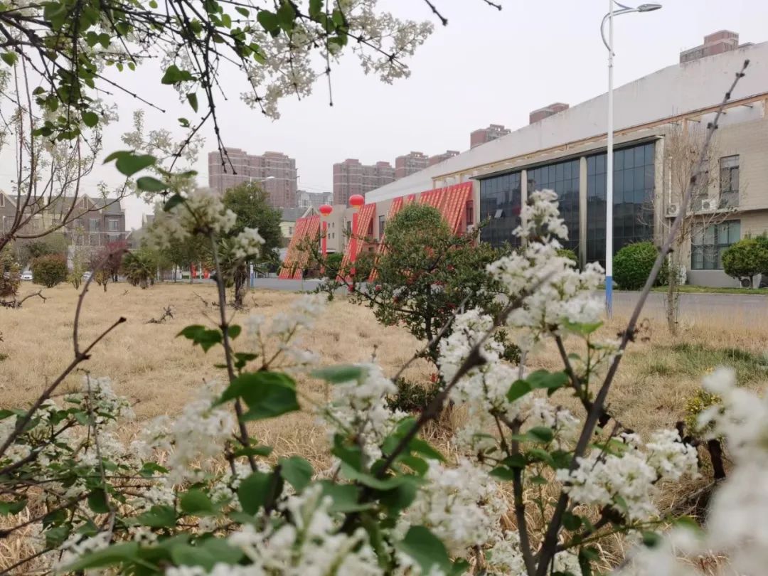 1680747118672156.jpg 1680747118672156.jpg